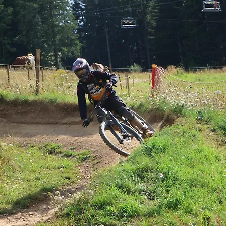 4 Personnes, Pied Des Pistes Et Vtt Apartment